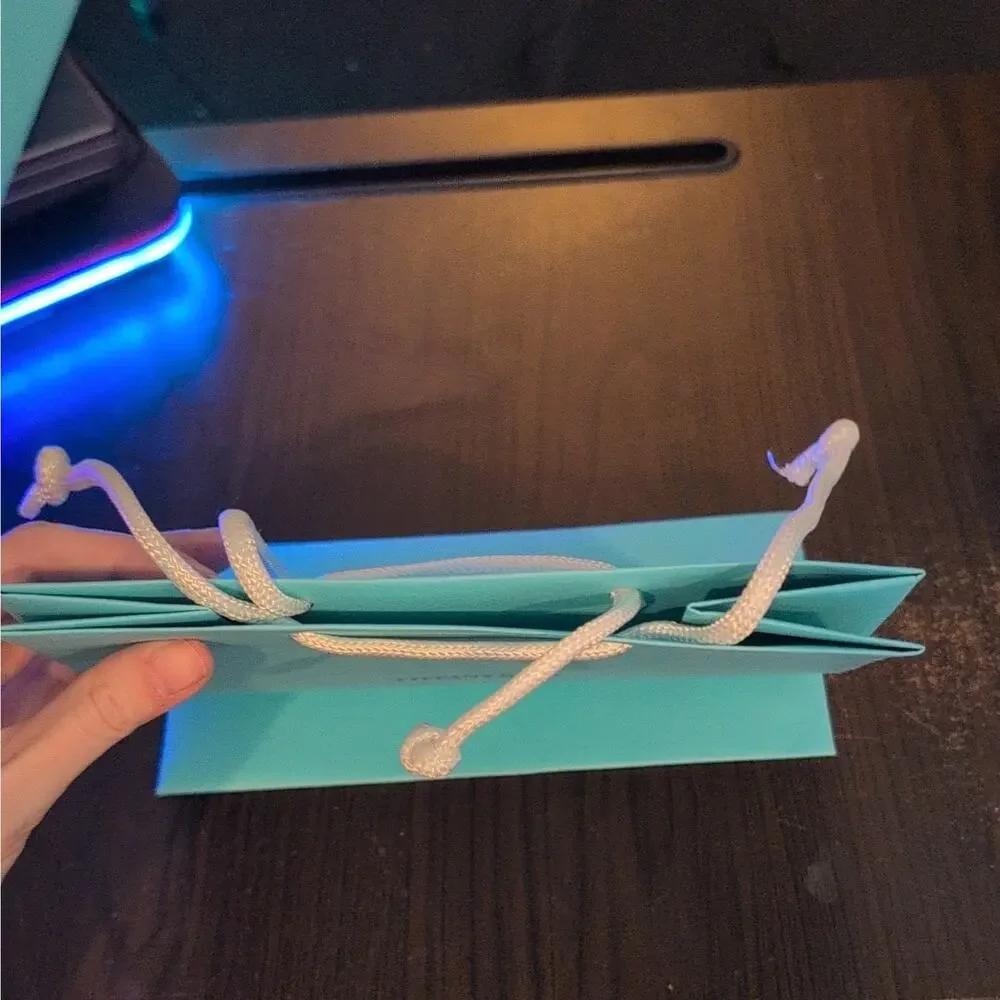 Tiffany & Co. Tiffany Blue Small Paper Gift Bag w/ White Rope Handles
